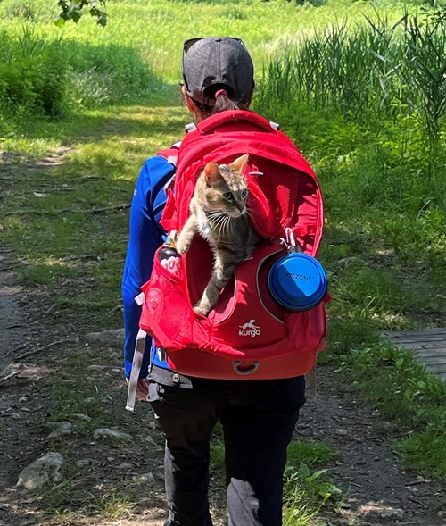 NH Spine Patient Carolina Herrera Hiking with her cat in her red backpack
